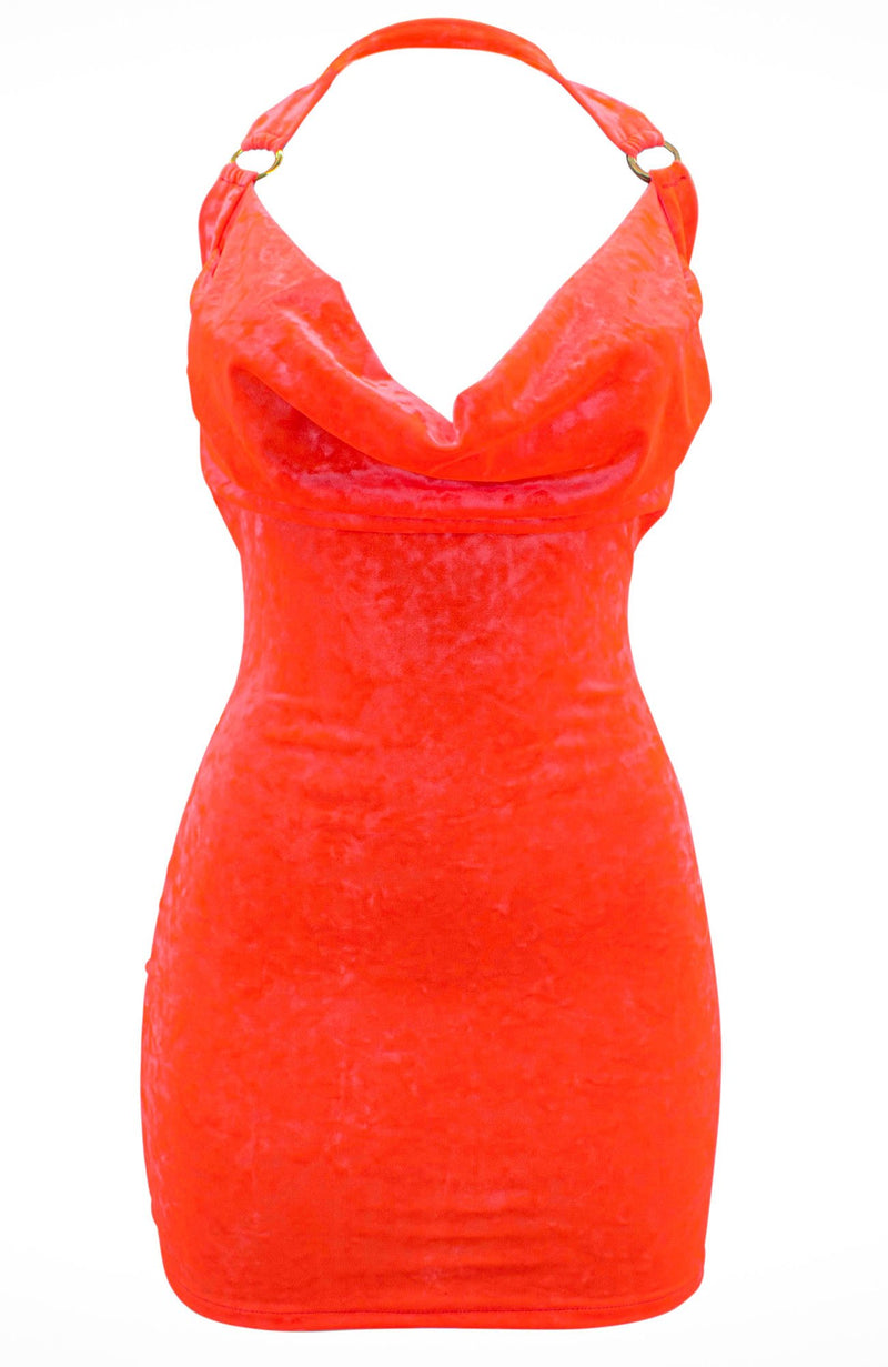 Coral Dress and Petite Malle-5